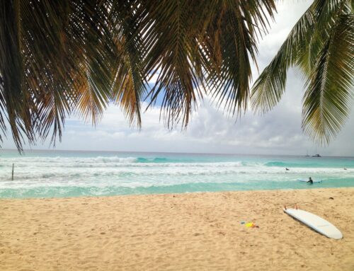 Barry’s Surf School